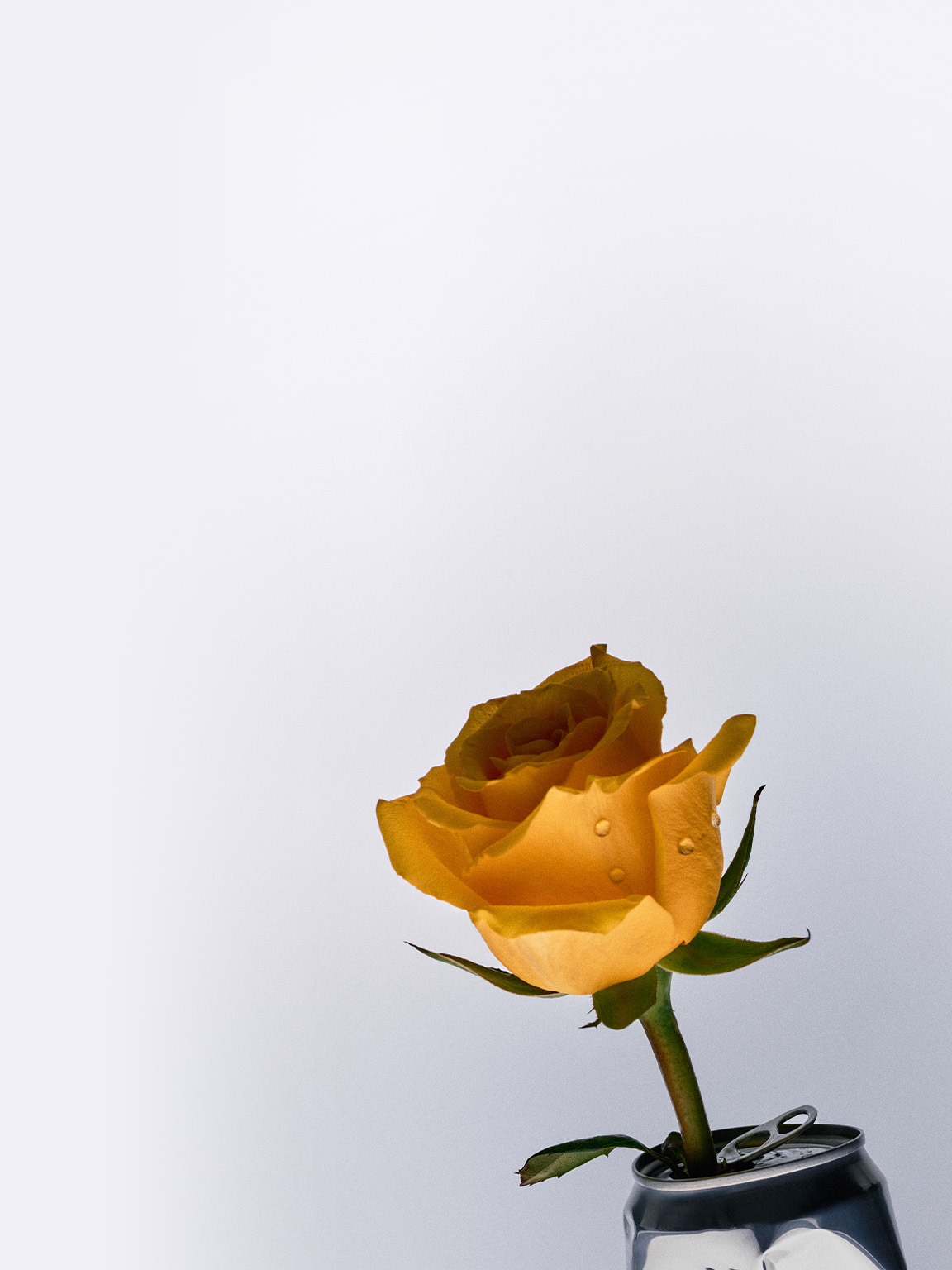 Promotional Image
